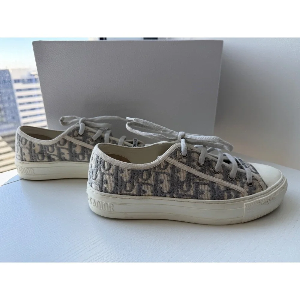 Dior authentic walk